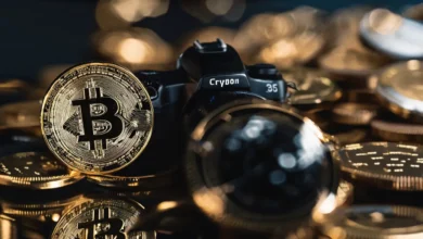 Blockchain wealth growth Exclusive Guide: Maximize Profits